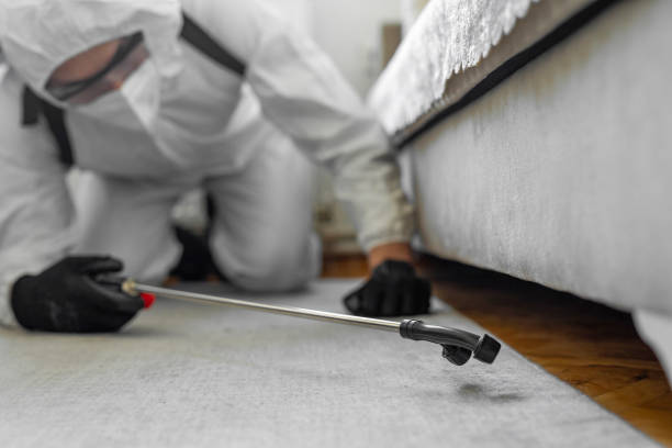 Professional Termite Control technician working in Kanab, UT