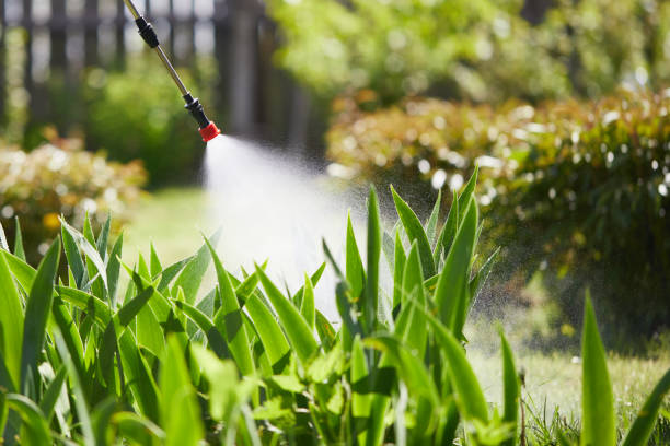 24/7 Emergency Termite Control experts in Kanab, UT